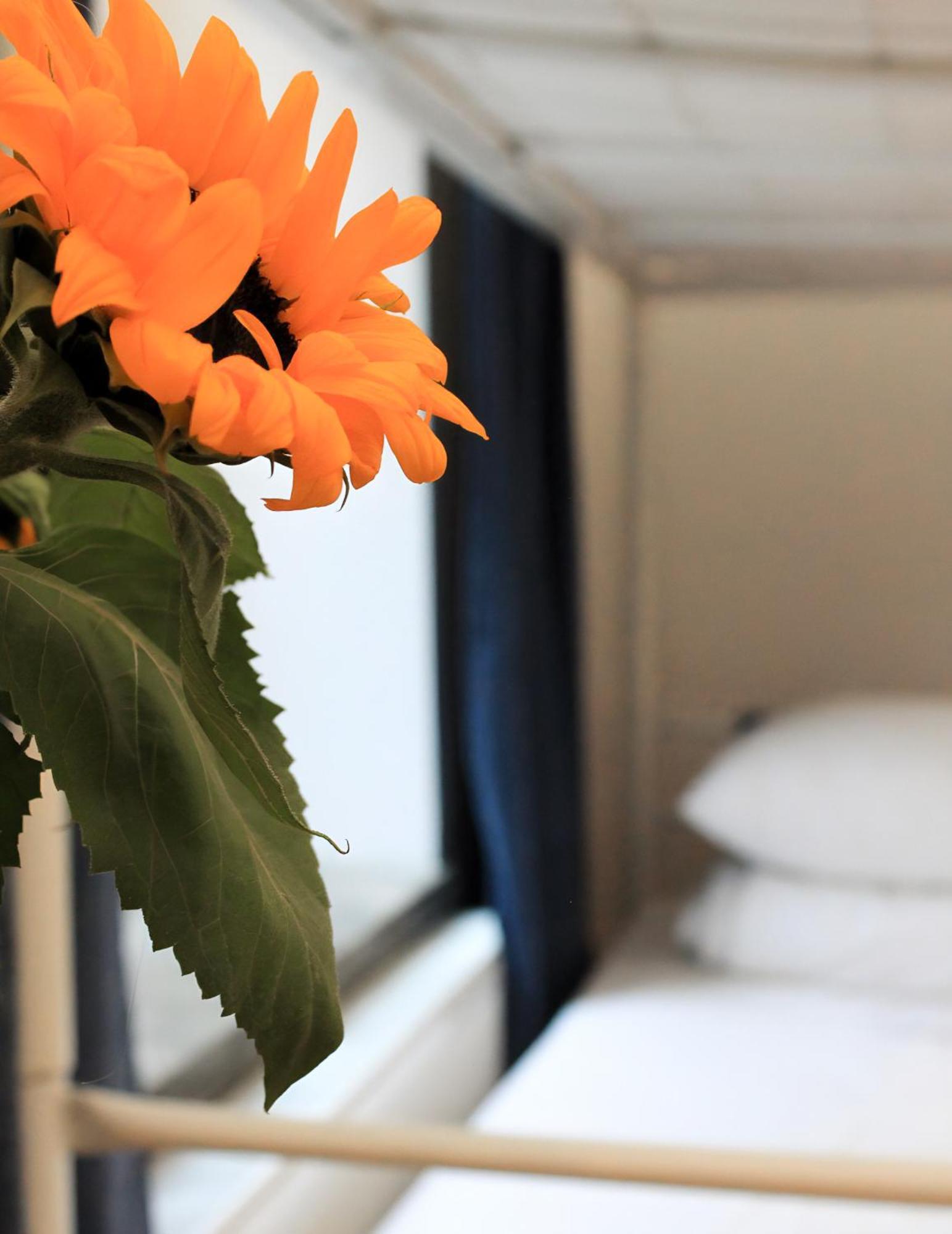 Warsaw Hostel Centrum Private Rooms & Dorms מראה חיצוני תמונה